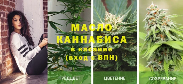 крисы Сосновый Бор