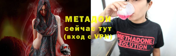 крисы Сосновый Бор