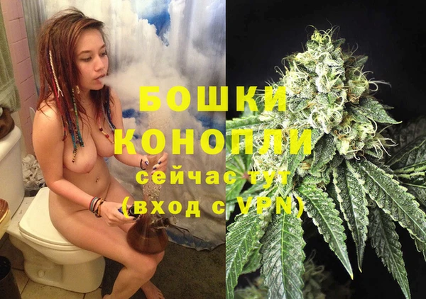 крисы Сосновый Бор