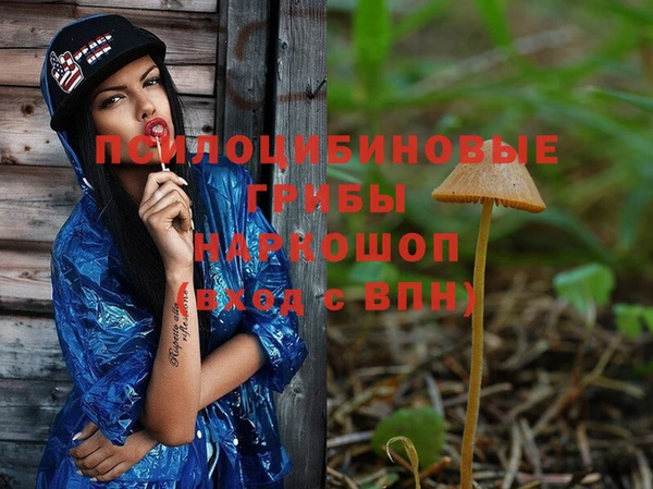 прущий лед Сосновка