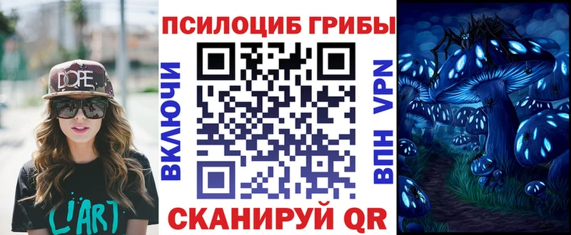Галлюциногенные грибы Magic Shrooms  Купить где  Горно-Алтайск 